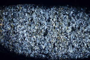 Cross Polarized, S81108