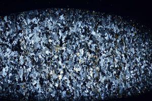 Cross Polarized, S81109