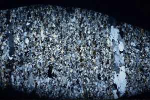 Cross Polarized, S81110