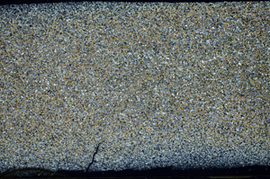 Cross Polarized, S81118