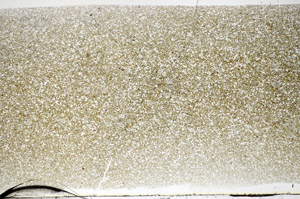 Plane Polarized, S81118