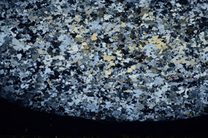 Cross Polarized, S81119