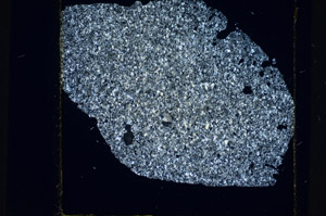 Cross Polarized, S81132