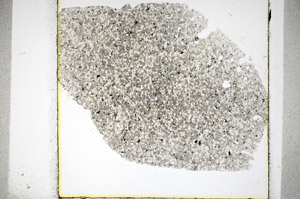 Plane Polarized, S81132