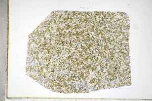 Plane Polarized, S81171