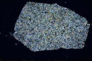 Cross Polarized, S81179