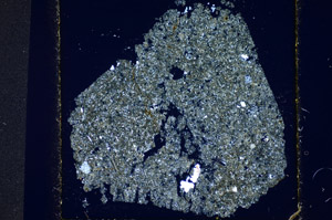 Cross Polarized, S81182