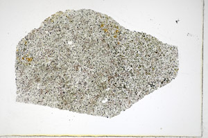 Plane Polarized, S81185