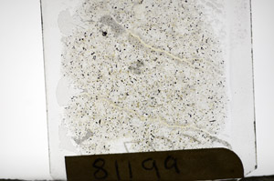 Plane Polarized, S81199