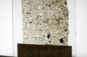 Plane Polarized, S81226