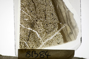 Plane Polarized, S81384