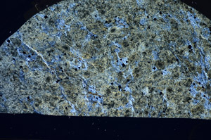 Cross Polarized, S81446