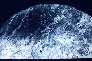 Cross Polarized, S81447
