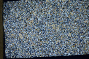 Cross Polarized, S81449