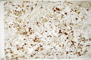 Plane Polarized, S81450