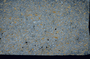 Cross Polarized, S81451