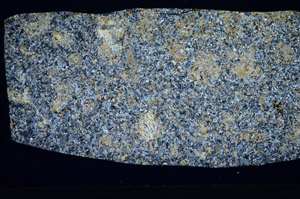 Cross Polarized, S81452