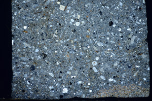 Cross Polarized, S81453