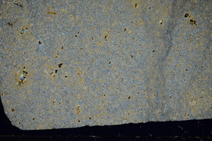 Cross Polarized, S81455