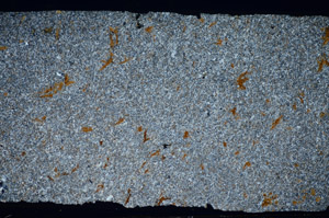 Cross Polarized, S81456
