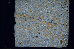 Cross Polarized, S81458
