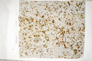 Plane Polarized, S81458
