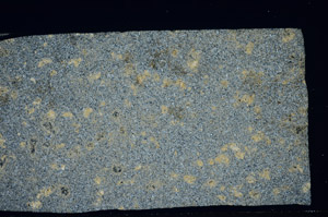 Cross Polarized, S81459