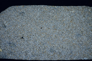 Cross Polarized, S81460
