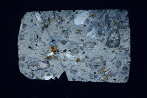 Cross Polarized, S81461