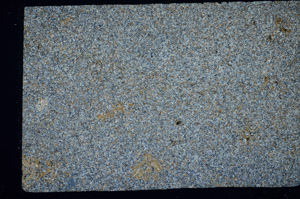 Cross Polarized, S81462