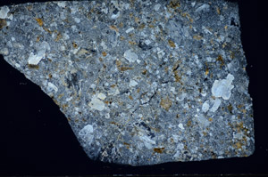 Cross Polarized, S81463