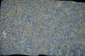 Cross Polarized, S81465