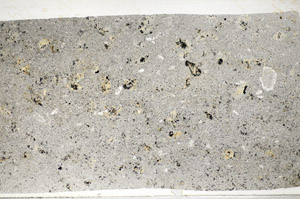 Plane Polarized, S81466