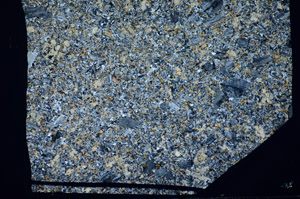 Cross Polarized, S81467