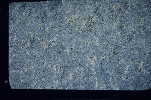 Cross Polarized, S81471