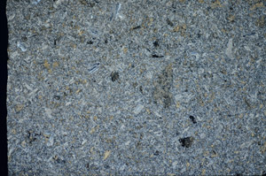 Cross Polarized, S81472