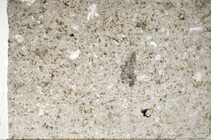 Plane Polarized, S81472
