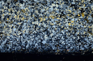 Cross Polarized, S81492