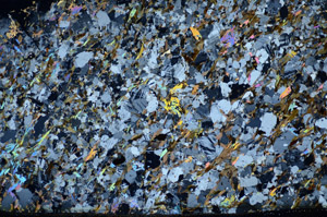 Cross Polarized, S81493