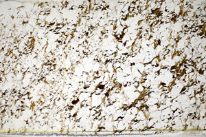 Plane Polarized, S81493