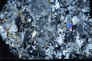 Cross Polarized, S81562