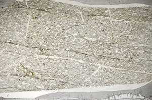 Plane Polarized, S81563