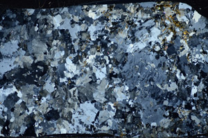 Cross Polarized, S81567