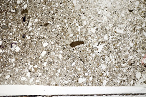 Plane Polarized, S81569