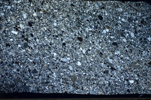 Cross Polarized, S81571