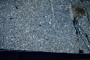 Cross Polarized, S81574