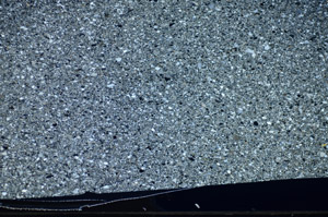 Cross Polarized, S81575