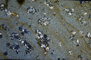 Cross Polarized, S81576