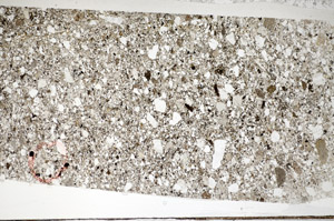 Plane Polarized, S81579