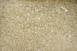 Plane Polarized, S81580